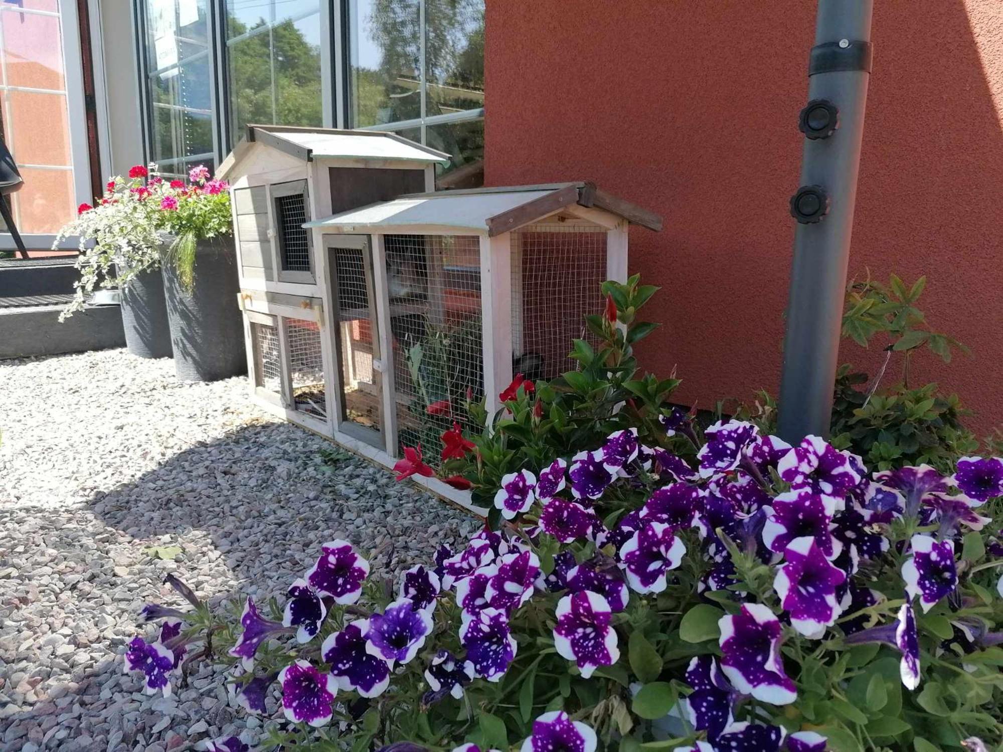 Gamtos Slenis Kaimo Turizmo Sodyba Bardinai Exterior foto